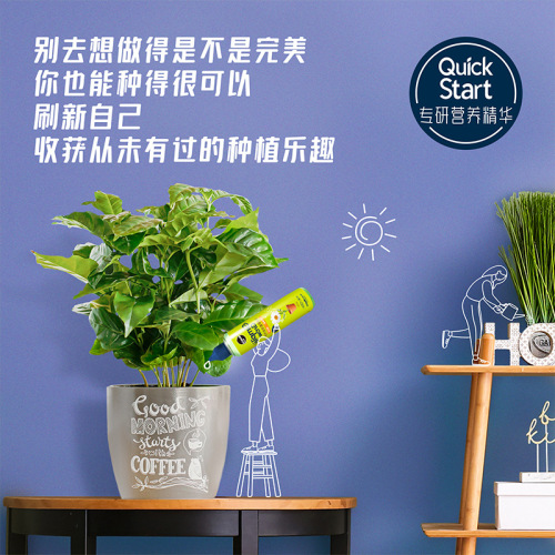 Melocactus small green bottle plant fertilizer without dilution household flower potting soil general type pothos compound fertilizer