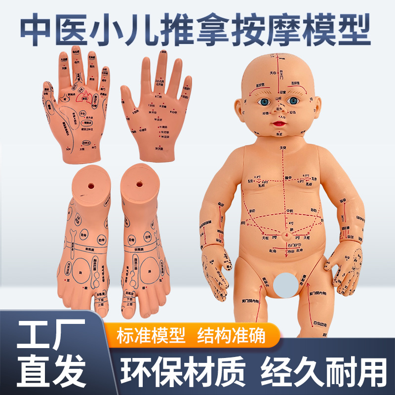 ȫ��Ѩλ���޾���ͼ��Ħ����ҽС�����ý�ѧ������ɩ��ѵ����ģ��