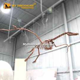 仿真恐龙骨架 博物馆餐厅展厅吊装骨架 悬挂式狭鼻翼龙骨架模型