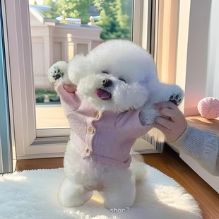 ���l���N��������Ȯ���BС��Ȯ���w�ɐ��L�����pѪ�y���ﳬ���湷