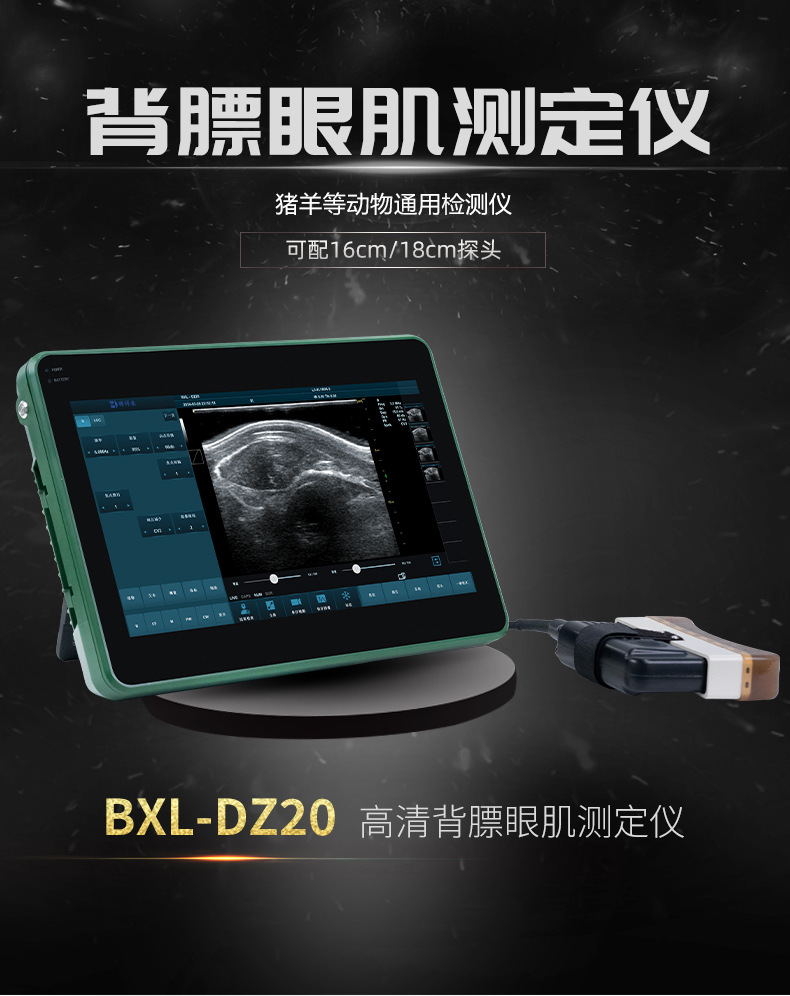 猪羊用背膘眼肌测定仪肉质检测B超机