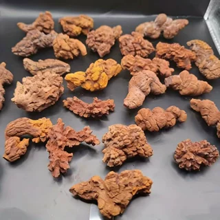 跨境热销天然原石摆件古生物粪便化石恐龙粑粑化石矿标标本批发