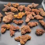 天然古生物跨境粪便原石