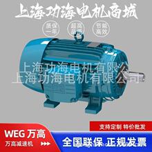 WEG万高冷却塔专用电机 W21系列金日 良机 BAC 马利 益美高冷却塔