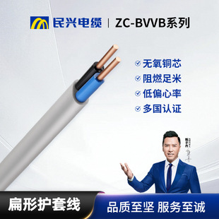 ���lBVVB늾�1.5/2.5/4/6ƽ�����˟o���~о���b��ȼ2о/3о�o�׾�