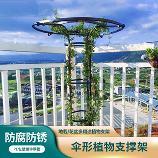 �ټ�ͥԺ�����¼���������̨����ֲ��֧�ΗU����֧�܈@ˇ�F��ɏ