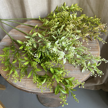 �¿�̽۷��滨�Gɫ�S�Gɫ�\�Gɫ���~����·�����̾Gֲ�b��~��