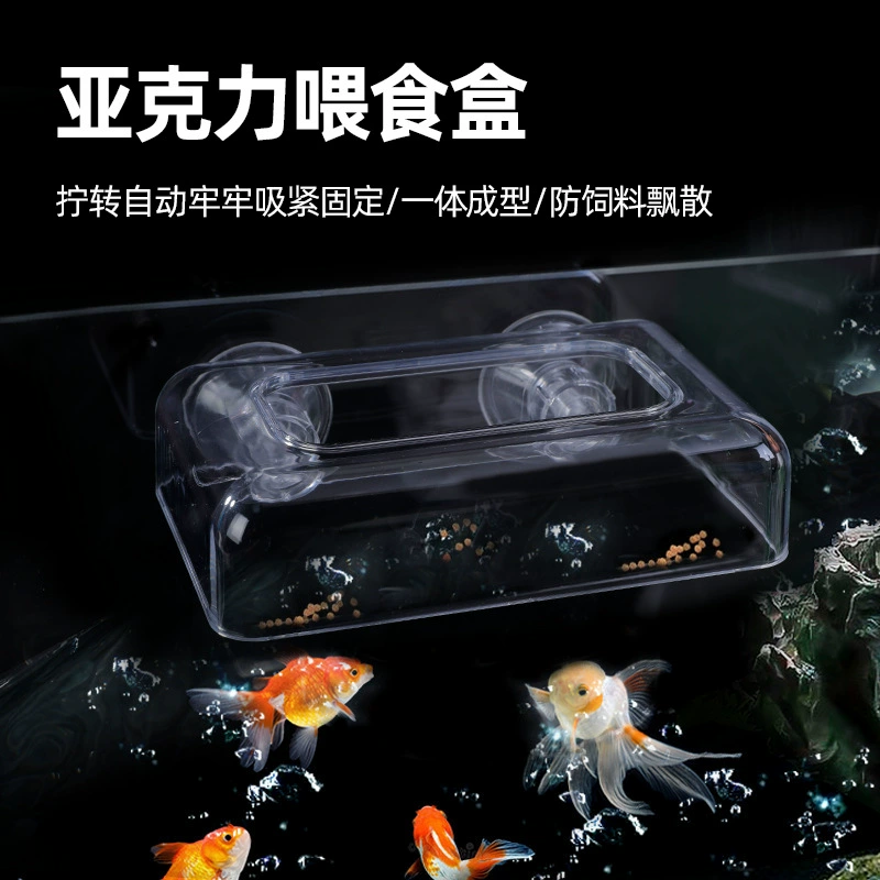 25 лет новый аквариумный кормушка для дома акриловый фиксированный кормушка с кольцом для кормления против смещения