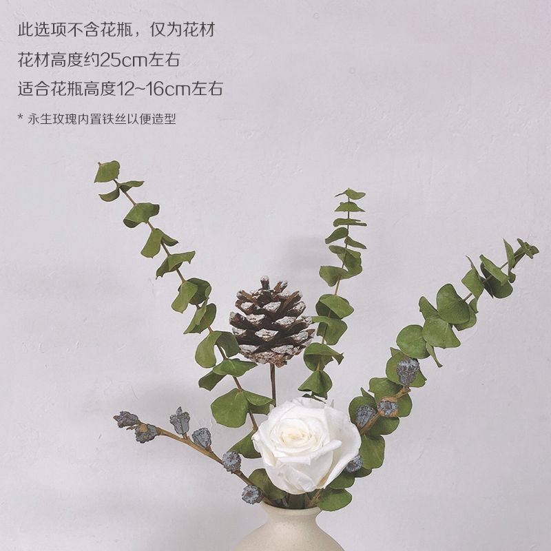 インシンプルな粗いセラミックドライフラワー花瓶装飾品忘れな草ユーカリの葉ローズフラワーアレンジメント北欧家の装飾|undefined