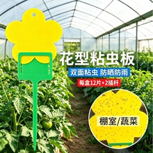 �S��ճ�x���E�R�����p����x�S�{�T�x��С���wճ�x���ļ��҃Ȍ���
