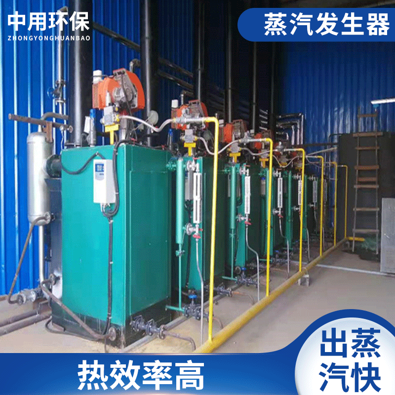 燃气蒸汽天然发生器气锅炉洗涤酿酒豆腐食用菌自动工业蒸汽设备