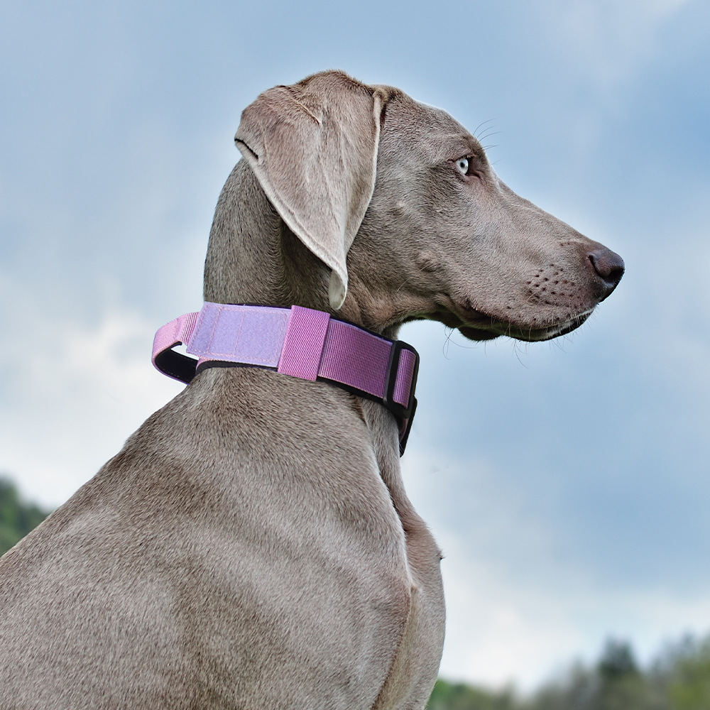 Nuevo collar para mascotas a prueba de explosiones, cuello para perros resistente a la tracción, collar para perros mediano y grande, collar táctico, spot al por mayor