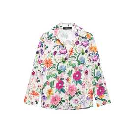 Z速卖通货源欧美风外贸女装新款时尚百搭气质印花衬衫上衣2945216