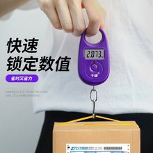 钥匙扣电子秤精准0.1克手提电子秤称克钓鱼卖菜称迷你家用秤超小