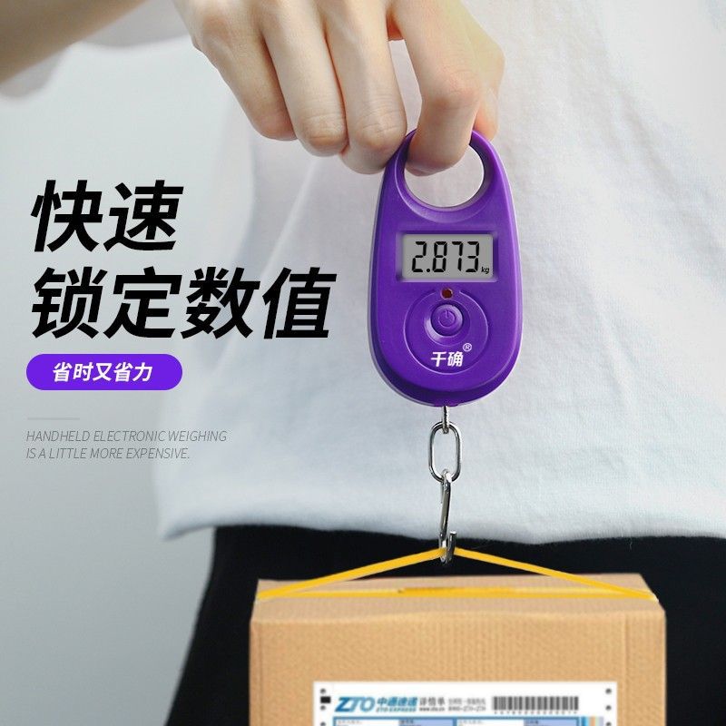 钥匙扣电子秤精准0.1克手提电子秤称克钓鱼卖菜称迷你家用秤超小