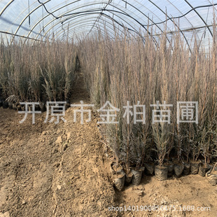 ����ؘ䱭�����l�Ȱؘ����o�µر�ֲ���Ȱص���С�����͘�