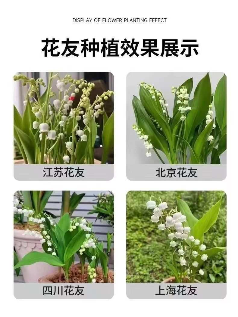 99bb92b0-f057-4269-b894-31d49880212a.jpe