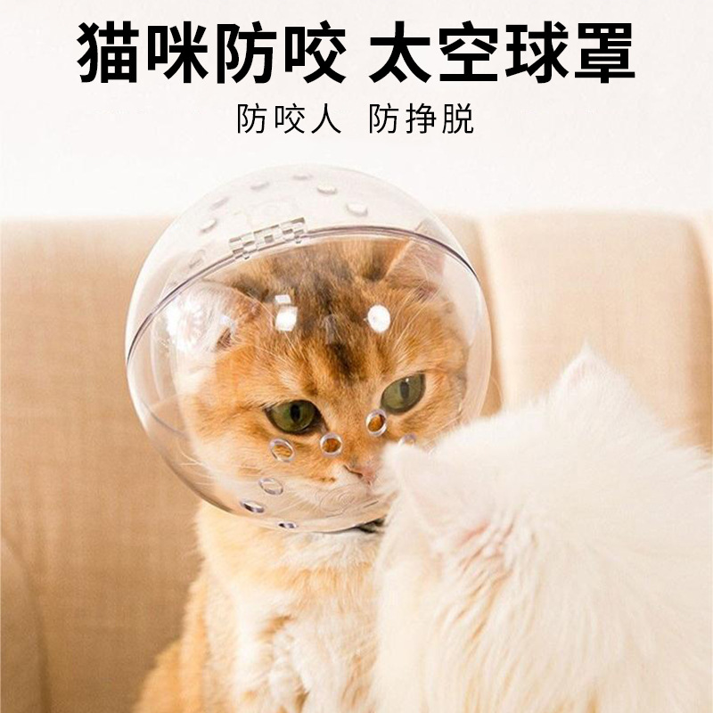 Cubierta de cabeza anti-mordedura para gatos cuidadosamente seleccionada Cubierta de cabeza espacial anti-lamer para perros y perros pequeños Suministros para mascotas Elizabeth al por mayor