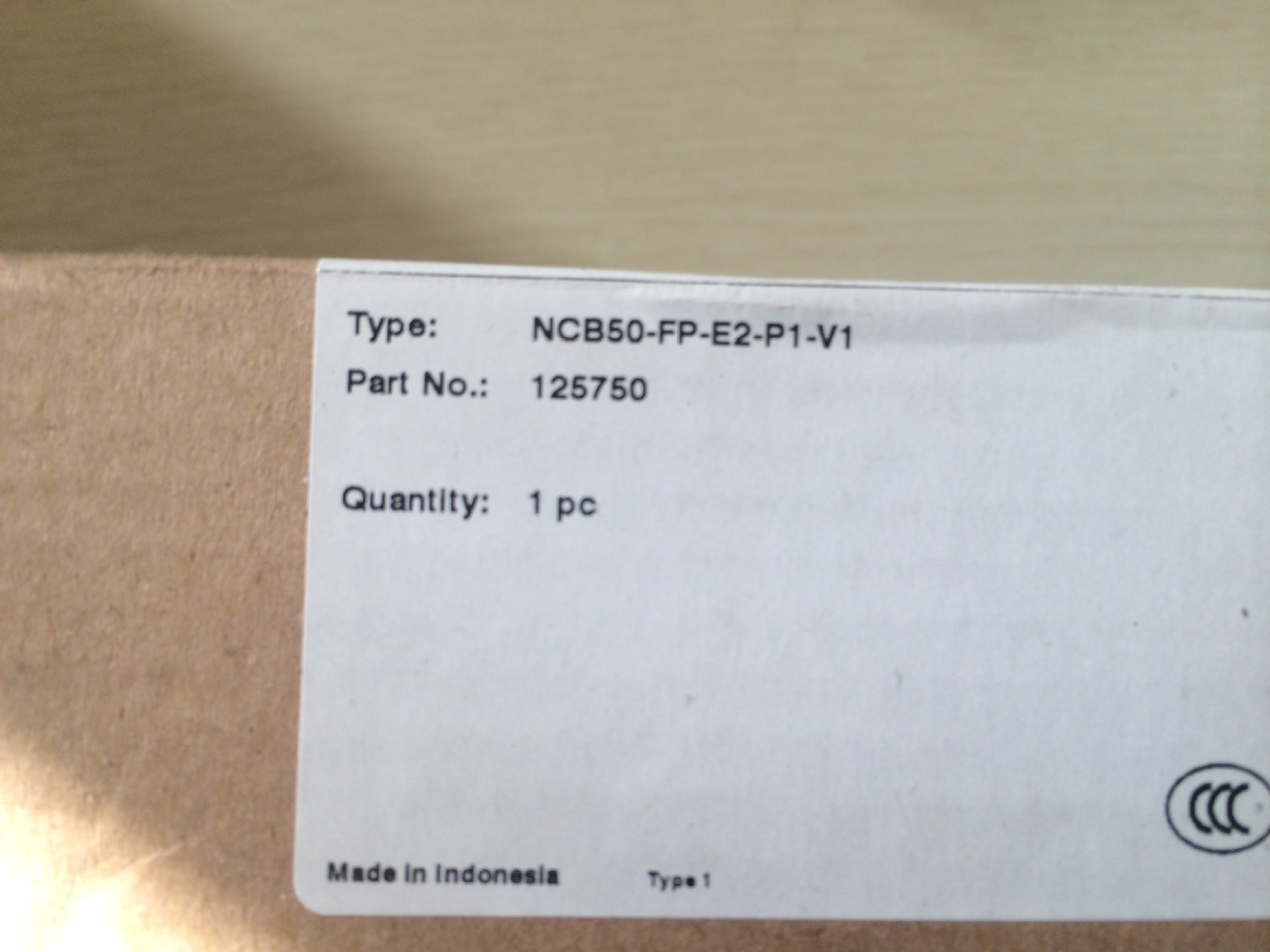 P+F  电感式接近开关  NCB50-FP-E2-P1-V1