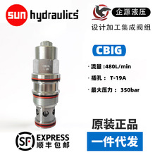 CBIG-LCNƽ�ⷧsunhydraulicsȫ��ԭװ��ƷCBIGLJN��װ����ѹ