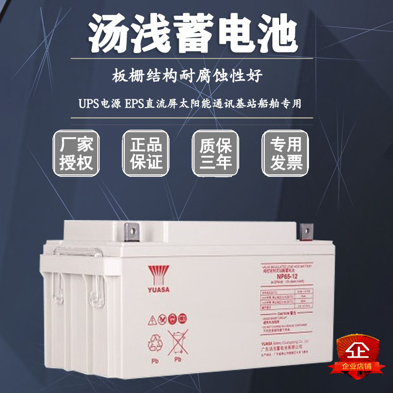 YUASA汤浅蓄电池NP65-12铅酸免维护12V 65AH机电设备专用