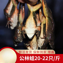 �������r���󡹫��ʿ󡹫��ѩ��o�џo��20ֻ����һ����S���]