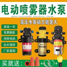 r늄ӇFˮ12VFȫĤôșC߉ʱ