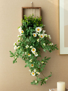 ins�Lֲ����b�С�r�ռٻ��҃Ƞ��ڼٻ������ҕ�����ڳ�