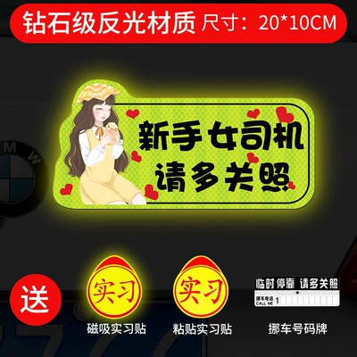 the Road Female Driver Magnetic | Body sticker - strong-magnetic-reflective-girl-holding-rabbit-please-take-more-care-gift