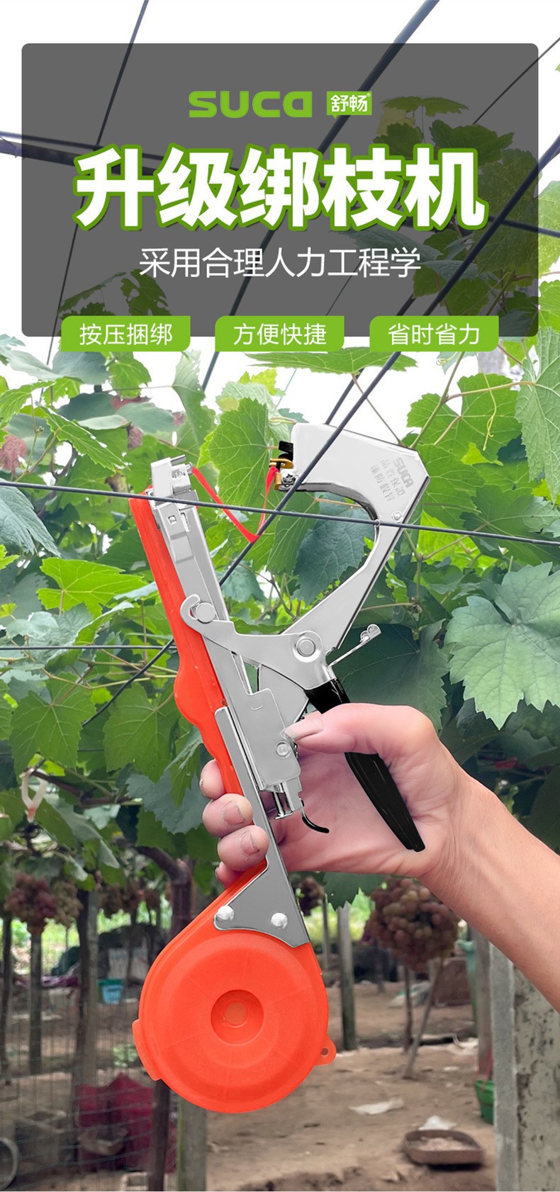 O1CN01lkL1j11xNuRR0oreE_!!2214