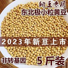 23؛OСSS690{ö{rDѿ