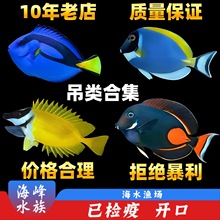 �{���߲ʴ��칷���{�����Ǻ�ˮ�^�p�~ɺ���׻��wС���~��ϼ�