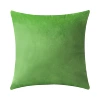 11291-815014 fruit green