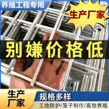 镀锌铁丝网片围栏小孔加粗养殖网狗笼养殖建筑钢筋长孔网格网钢丝