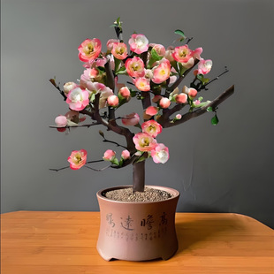 �����Ļ����Ԙ����Ϙ��辰ͥԺ�̨�Nֲ�ذ�׃ɫ���Ļ��ļ��ͺ�