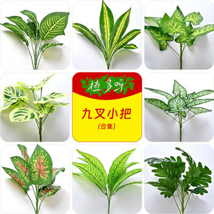 ����ֲ��Gֲ���Ի��ۻ����b��~��9��С��11��С��ֲ��ٻ�