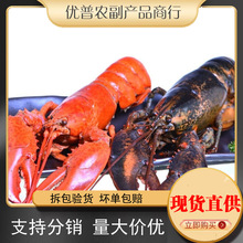 ��ʿ����Ϻ�ٶ������ʶ����ʻ���ް��������ش�������������