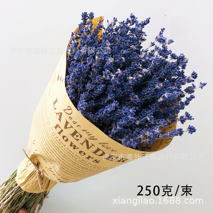 스페이스 블루 부케 250g [미세포장]