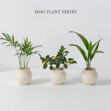 ���������ԡ������������~����������k���҃�����ֲ����B�Gֲ