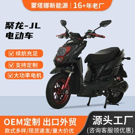 电动摩托车;电动自行车