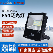 SֱNLEDͶˮXķVͥԺledl