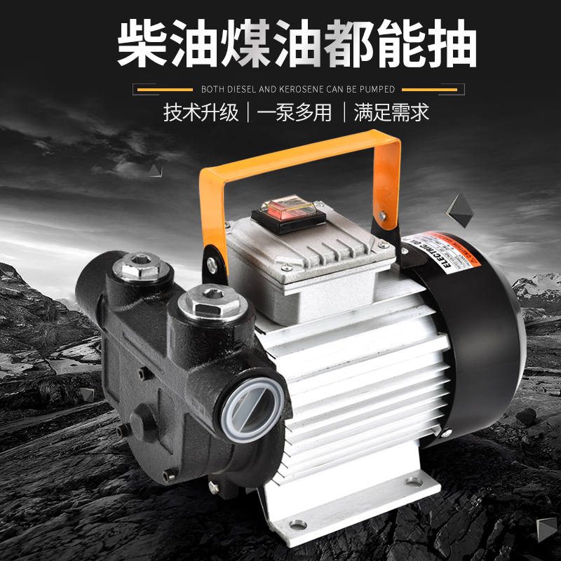 Bomba de bombeo eléctrica 12V24V220V bomba de autoaspiración de alta potencia bomba diesel bomba de refuerzo de control remoto bomba de dosificación de bomba