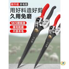 ��ë�����քӼ���ë�ļ�����ë�����ߏ����ù�ë������ë��