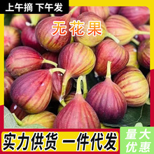 ��S���]���r��ϼtƤ�o�������x���Fժ������ˮ��ܛŴ�����ЋD