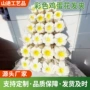 仿真沙滩彩色花朵发夹