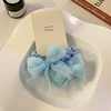 2581 blue