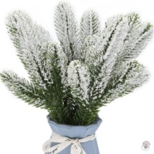 �羳���N����Gֲ��� �廨�����֦�҃��b���������}�Q���b�
