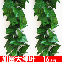 �����ٗl�٘��~���{ˮ���bG�}�����ړ�ֲ�ﻨ�پG�~�ٻ��҃Ȼ�