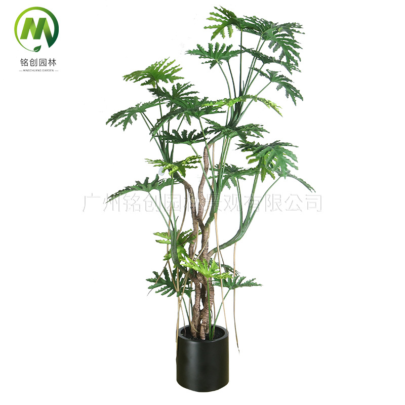 Simulación de interior Planta verde Simulación de plantación de disco Escala de dragón Taro de primavera Sala de estar Balcón Simulación Planta verde falsa Oficina Bonsai