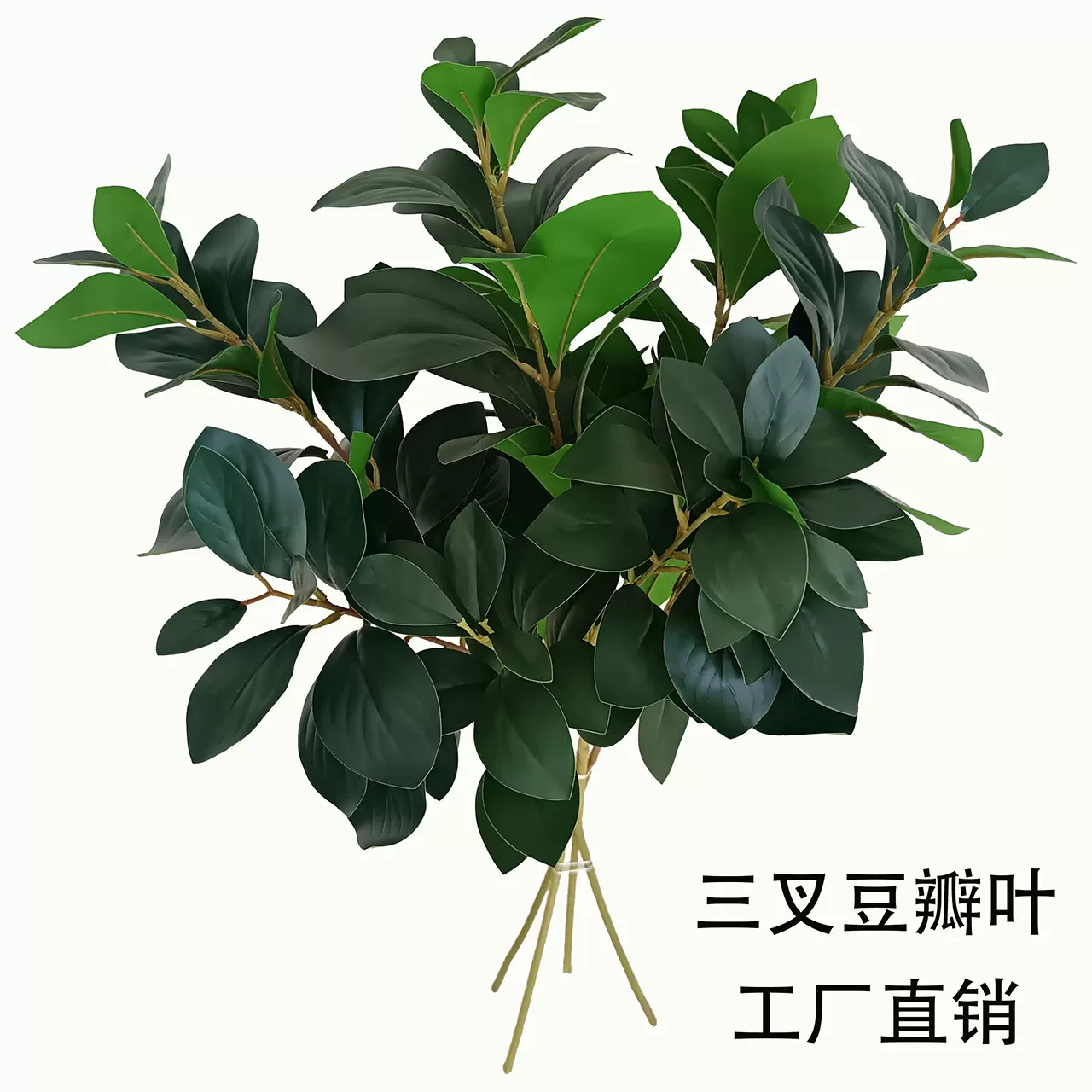 仿真豆瓣叶3叉胶片树枝家居装饰造景仿真冬青批发工厂绿植树叶